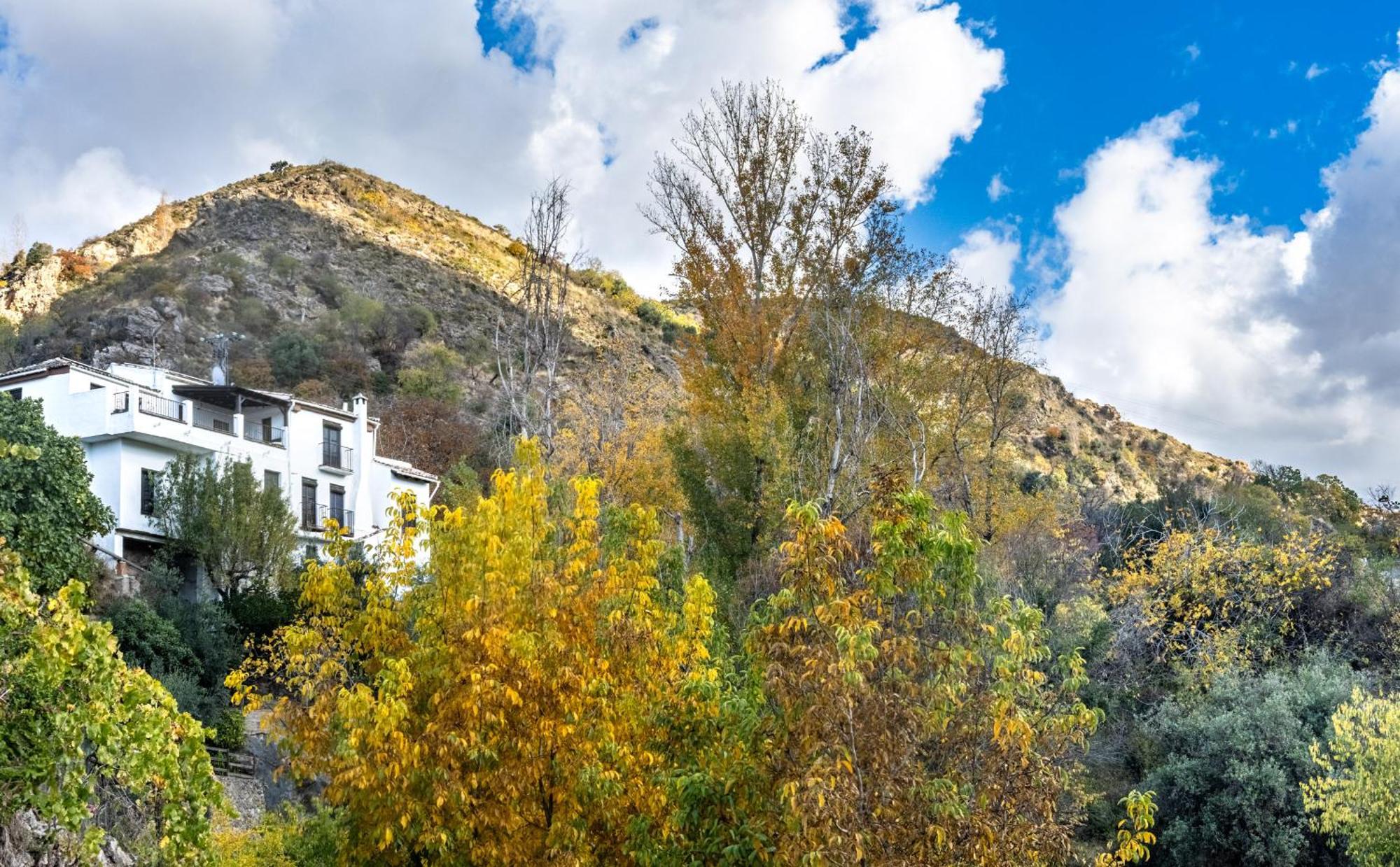Casa Rural Arroyo De La Greda Guejar Sierra Luaran gambar